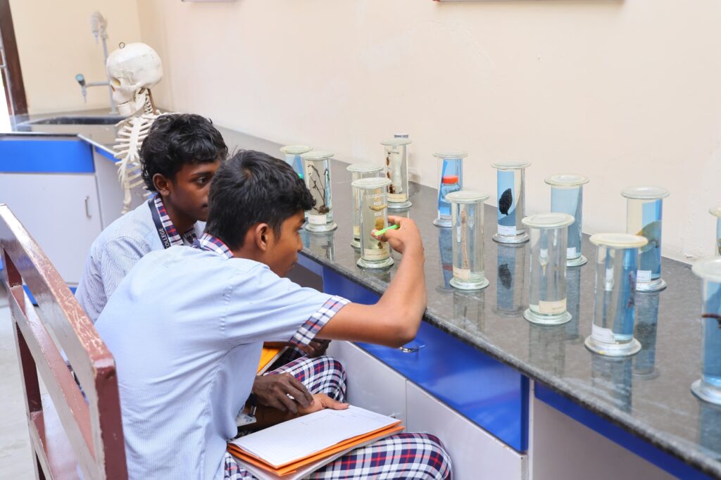 Junior College